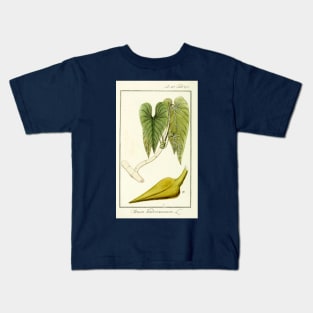 Mature Heartleaf Philodendron - Philodendron hederaceum - Botanical Illustration Kids T-Shirt